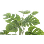 Elegancka Roślina Dekoracyjna-Prom | Trawy