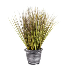 Elegancka Roślina Dekoracyjna Led-Prom | Trawy