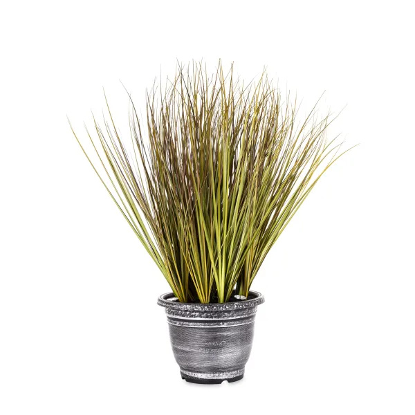 Elegancka Roślina Dekoracyjna Led-Prom | Trawy