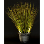 Elegancka Roślina Dekoracyjna Led-Prom | Trawy