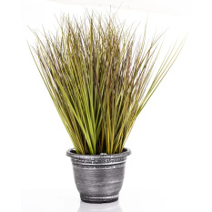 Elegancka Roślina Dekoracyjna Led-Prom | Trawy