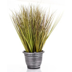 Elegancka Roślina Dekoracyjna Led-Prom | Trawy