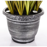 Elegancka Roślina Dekoracyjna Led-Prom | Trawy