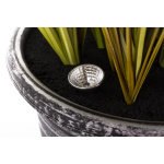 Elegancka Roślina Dekoracyjna Led-Prom | Trawy