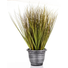 Elegancka Roślina Dekoracyjna Led-Prom | Trawy