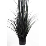 Elegancka Roślina Dekoracyjna | Trawy