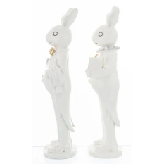 Elegancki Królik | Kolekcja Casablanca