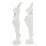 Elegancki Królik | Kolekcja Casablanca