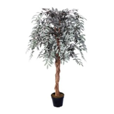 Eleganckie Drzewko Dekoracyjne Oliwne | Rośliny Doniczkowe