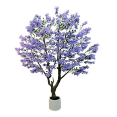 Eleganckie Drzewko Dekoracyjne | Rośliny Doniczkowe