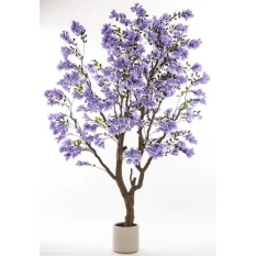 Eleganckie Drzewko Dekoracyjne | Rośliny Doniczkowe