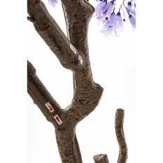 Eleganckie Drzewko Dekoracyjne | Rośliny Doniczkowe