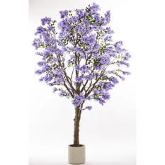 Eleganckie Drzewko Dekoracyjne | Rośliny Doniczkowe