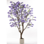 Eleganckie Drzewko Dekoracyjne | Rośliny Doniczkowe