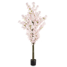 Eleganckie Drzewko Dekoracyjne | Rośliny Doniczkowe