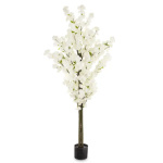 Eleganckie Drzewko Dekoracyjne | Rośliny Doniczkowe