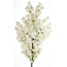 Eleganckie Drzewko Dekoracyjne | Rośliny Doniczkowe