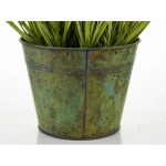 Stylowa Roślina Dekoracyjna-Prom | Trawy