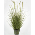 Stylowa Roślina Dekoracyjna-Prom | Trawy