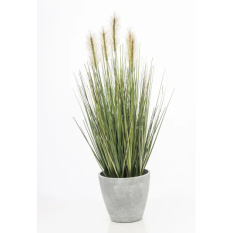 Elegancka Roślina Dekoracyjna-Prom | Trawy