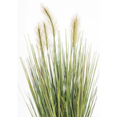 Elegancka Roślina Dekoracyjna-Prom | Trawy