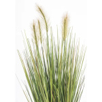 Elegancka Roślina Dekoracyjna-Prom | Trawy